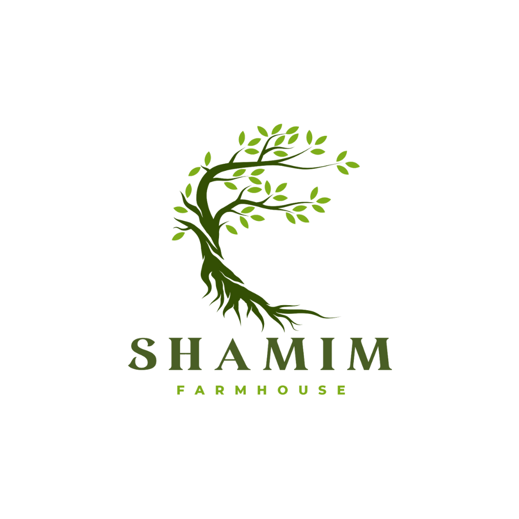 logo4